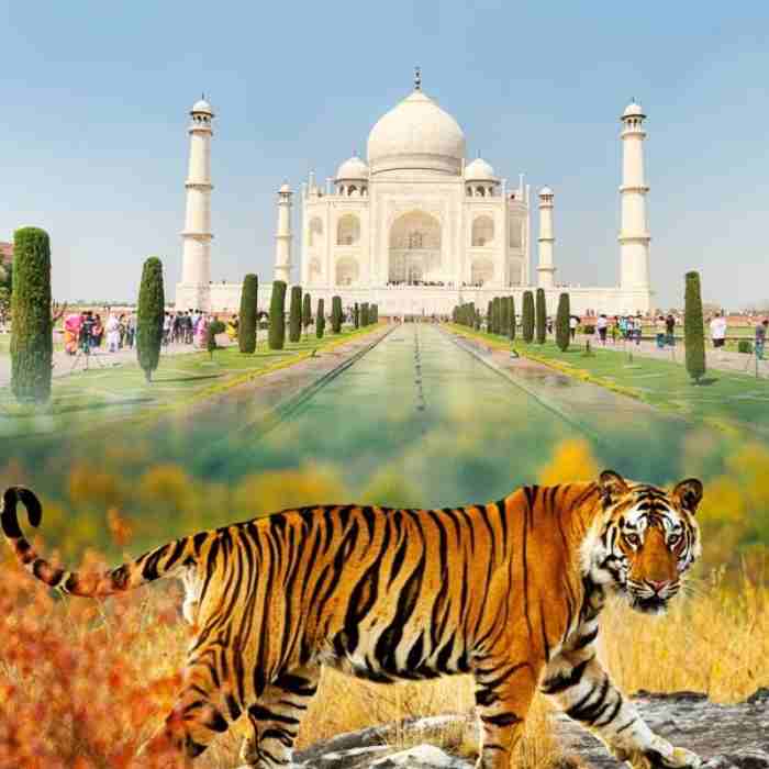 Indias tour advisor